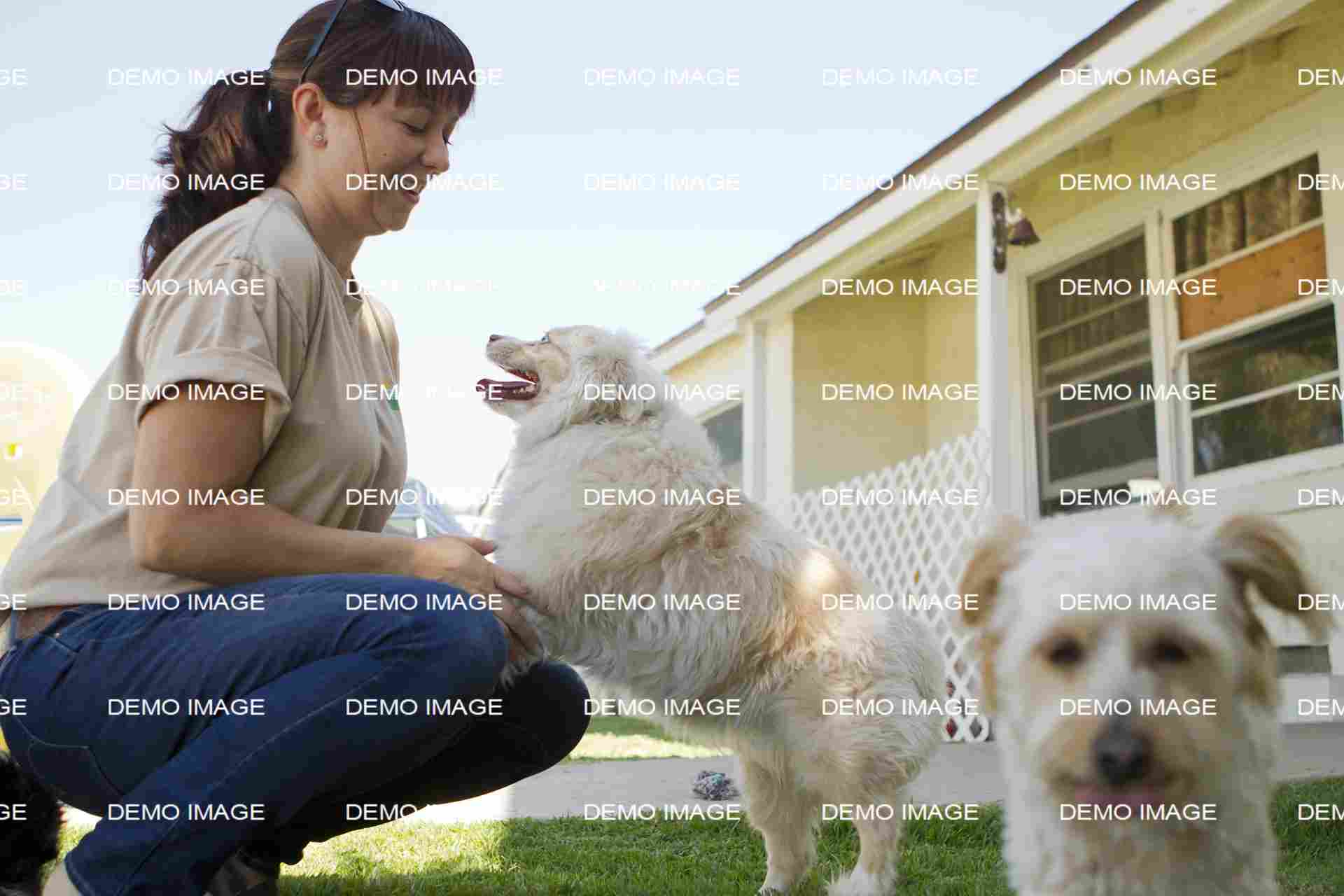 Full Service Boarding