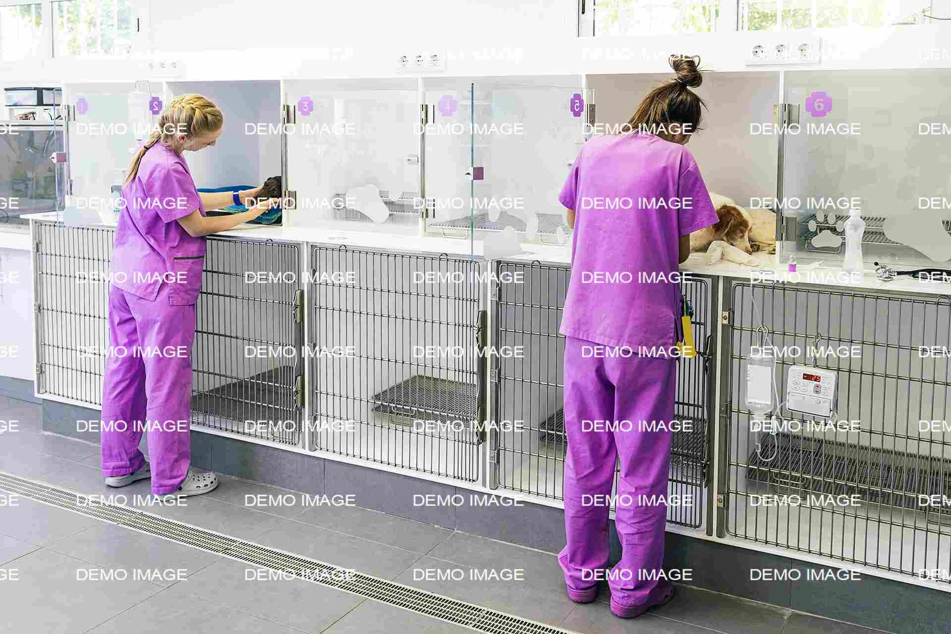 Pet Pain Control