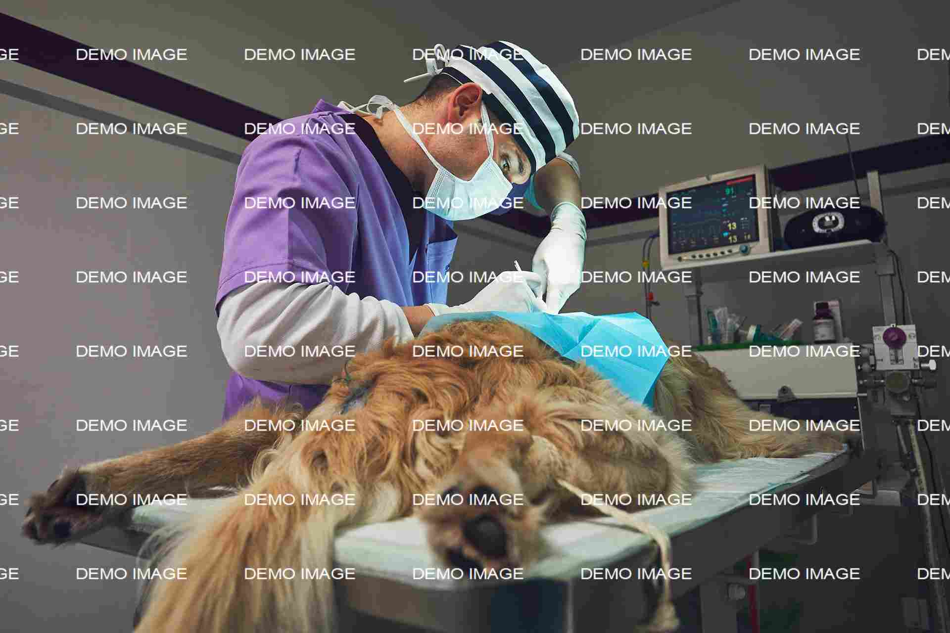 Dental Extractions