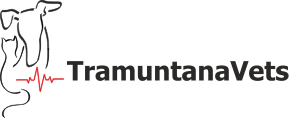 logo-alternate