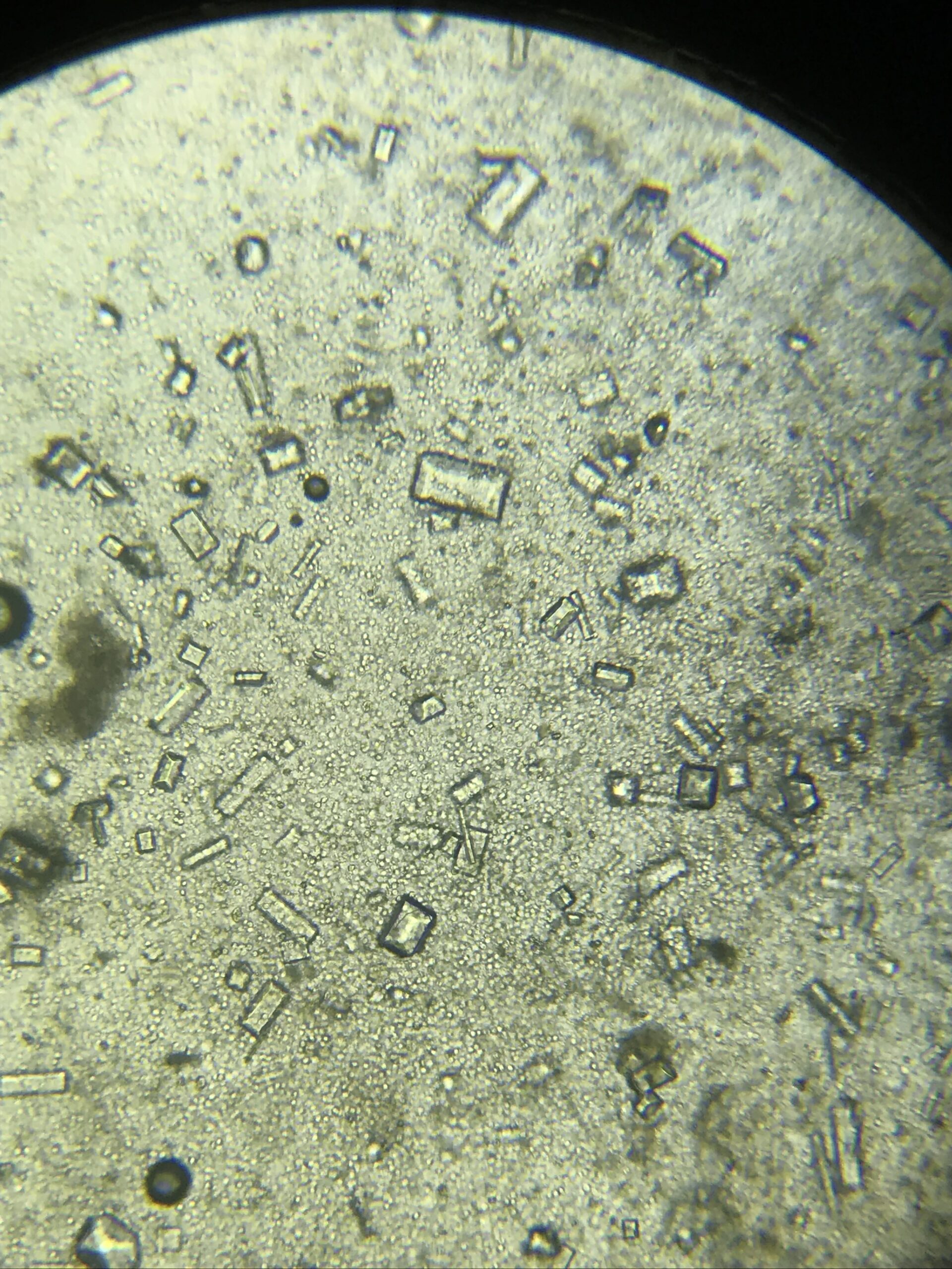 Laboratorio urianálisis